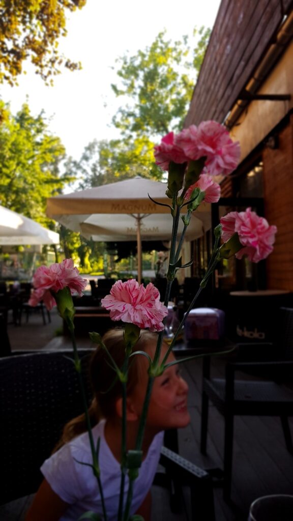 Kuchnia i sklep włoski we Wrocławiu. Pizzeria Giro Deliviery