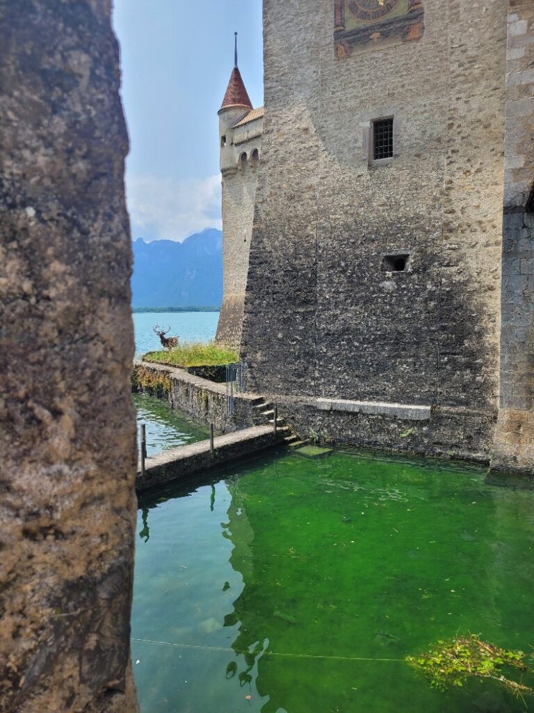 Jedziemy do zamku w Montreux | najpiękniejsza riwiera Szwajcarii i średniowieczny zamek na jeziorze Genewskim