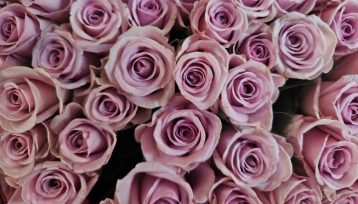 Umberto-eco-magazyn-włoski-atavola